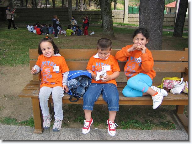 Diapositiva siguiente